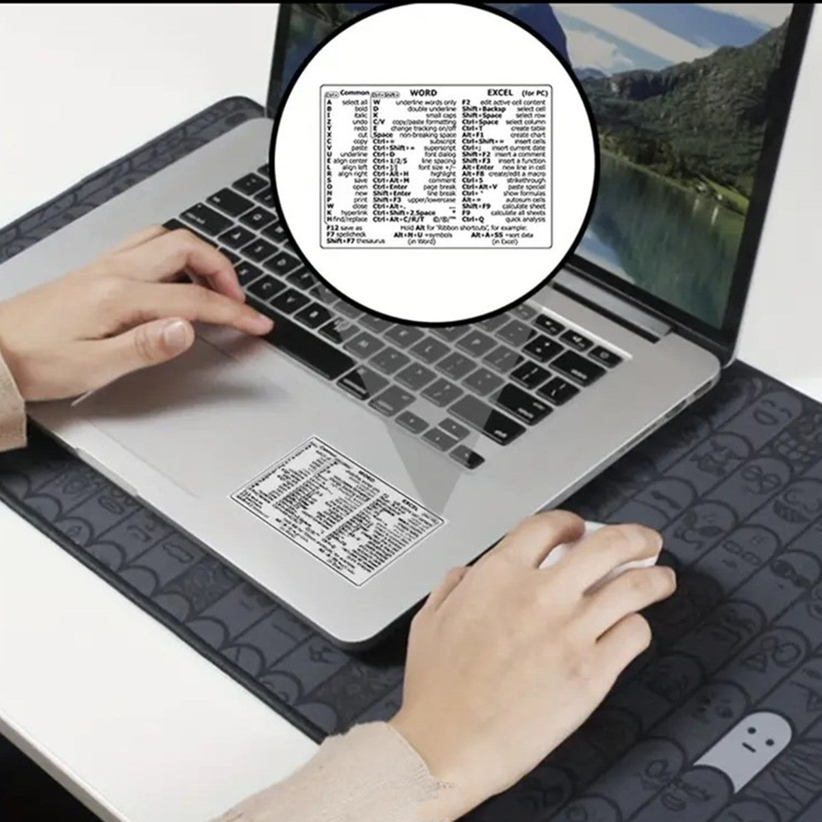 Windows, Word and Excel Shortcut Stickers